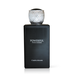 POWERFUL 100ml SPRAY PERFUME